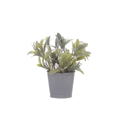 FL 20Cm Green Mistletoe With White Berries In Pot