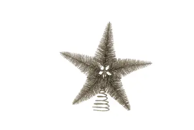 FL 30Cm Silver Bristle Tree Top Star
