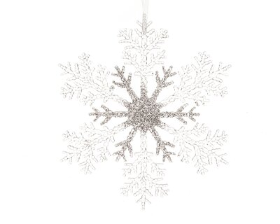 FL Snowflake Plastic Glitter Transparent/Silver