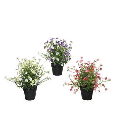 Flower In Pot Polyester Asst H28.00cm