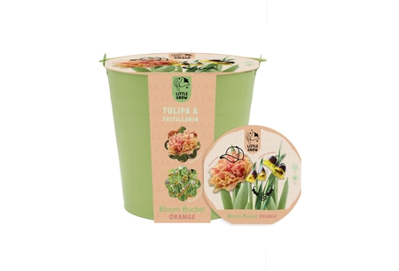 Flower Pot Lasagne Pack Orange