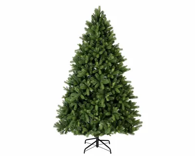 Freiburg Pine 8ft / 240cm