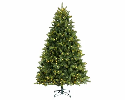 Freiburg Pine Pre-Lit 7ft / 210cm 600 LED Lights