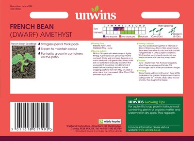 French Bean (Dwarf) Amethyst - image 2