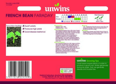 French Bean (Dwarf) Faraday - image 2