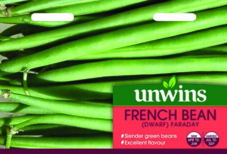 French Bean (Dwarf) Faraday - image 1