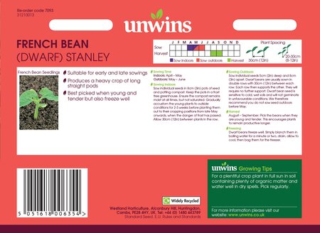 French Bean (Dwarf) Stanley - image 2
