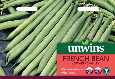 French Bean (Dwarf) Stanley - image 1