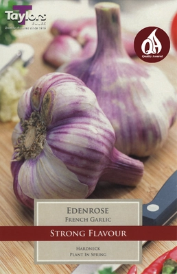 French Garlic Eden Rose 45-60 P/P