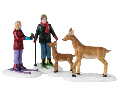 Friendly Wildlife