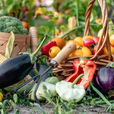 Fruit & Vegetable Compost Range