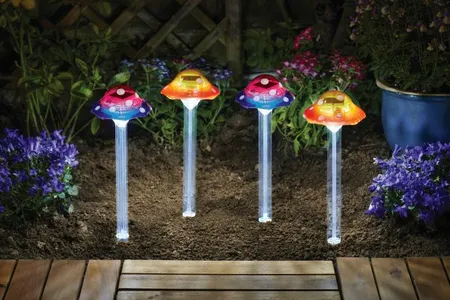 Funky Fungus 4pc Carry Pack - image 1