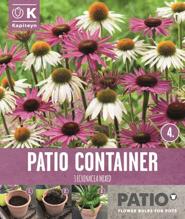Garden Container Pack Echinacea - Sorbet Shades