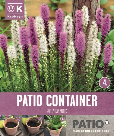 Garden Container Pack Liatris Spicata - Sorbet Shades