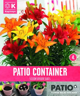 Garden Container Pack Lilium Dwarf - Sunshine Shades