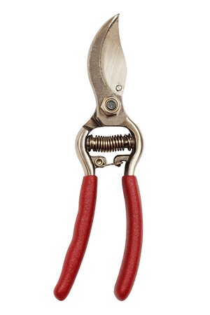 Garden Life Bypass Secateurs 6.5''