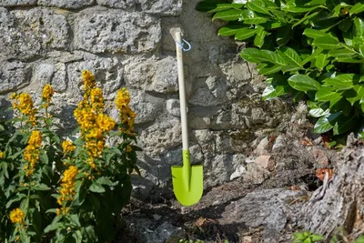 Garden Spade - Kids  FSC - image 1