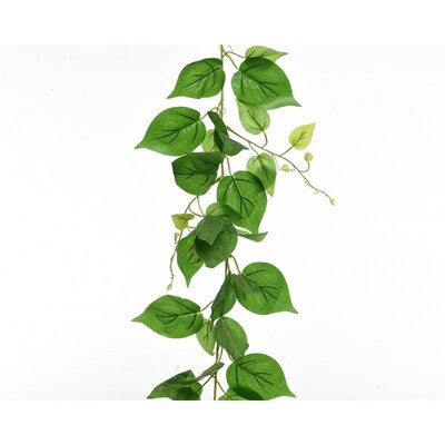 Garland Pothos Vine Plastic LH220cm