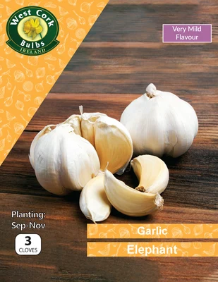 Garlic Elephant 3 cloves