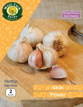 Garlic Primor 2 Bulbs