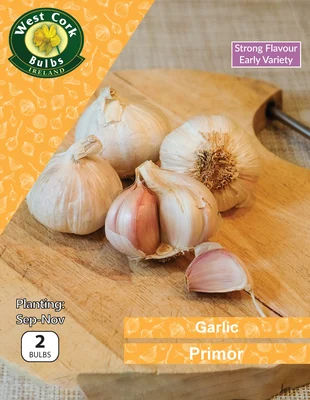Garlic Primor 2 Bulbs