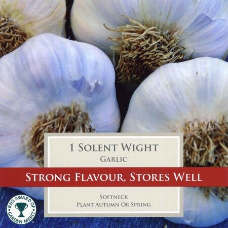 Garlic Solent Wight 55-60