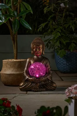 Gazing Buddha - image 2