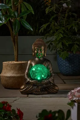 Gazing Buddha - image 3