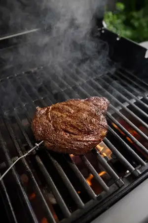 Gen2 Wired Thermometer - Food, Pro - image 2