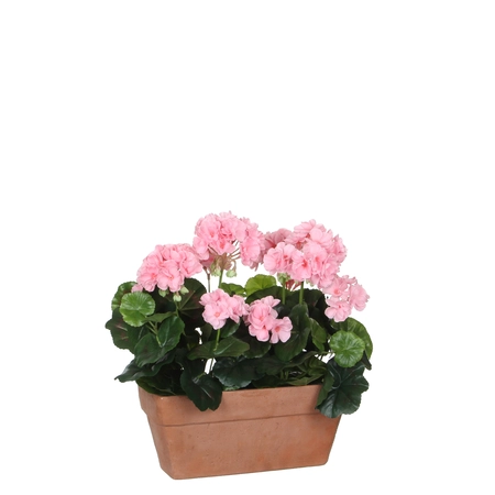 Geranium Pink In Balcony Tray Terra - L29Xw13Xh40Cm - image 1
