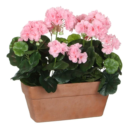 Geranium Pink In Balcony Tray Terra - L29Xw13Xh40Cm - image 2
