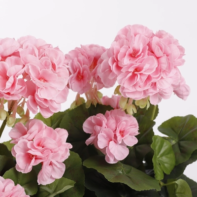 Geranium Pink In Balcony Tray Terra - L29Xw13Xh40Cm - image 3