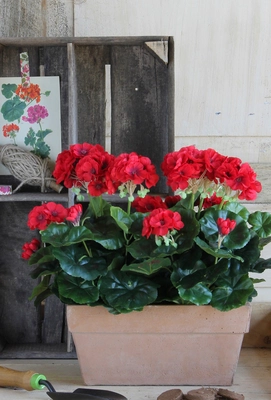 Geranium Red In Balcony Tray Terra - L29Xw13Xh40Cm - image 6