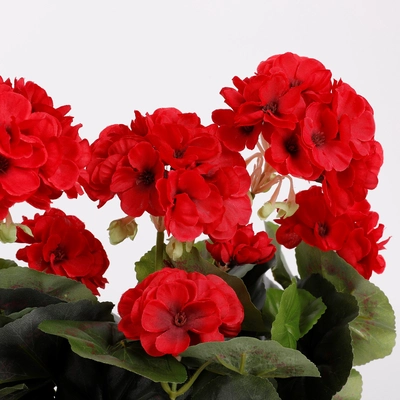 Geranium Red In Balcony Tray Terra - L29Xw13Xh40Cm - image 3