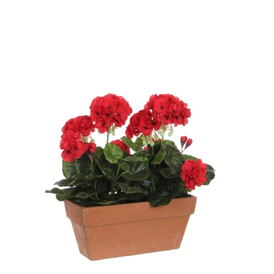 Geranium Red In Balcony Tray Terra - L29Xw13Xh40Cm