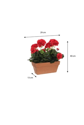 Geranium Red In Balcony Tray Terra - L29Xw13Xh40Cm - image 5