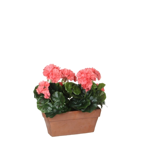 Geranium Salmon In Balcony Tray Terra - L29Xw13Xh40Cm - image 1