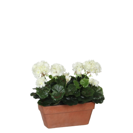 Geranium White In Balcony Tray Terra - L29Xw13Xh40Cm - image 1