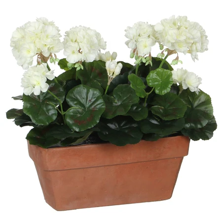 Geranium White In Balcony Tray Terra - L29Xw13Xh40Cm - image 2