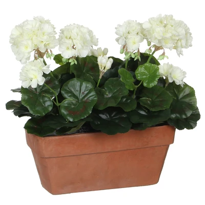 Geranium White In Balcony Tray Terra - L29Xw13Xh40Cm - image 2