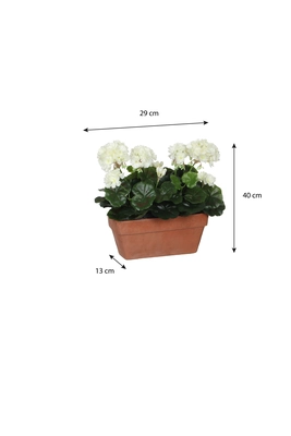 Geranium White In Balcony Tray Terra - L29Xw13Xh40Cm - image 5