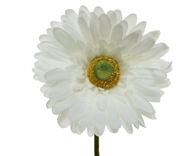 Gerbera Polyester White dia10-H50cm