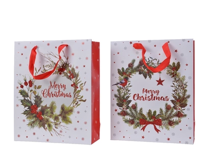 Giftbag Paper H42Cm Multi