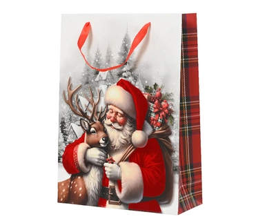 Giftbag Paper red/colour W30-H42cm