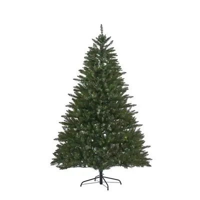 Glencullen Spruce - 7.5Ft Tree