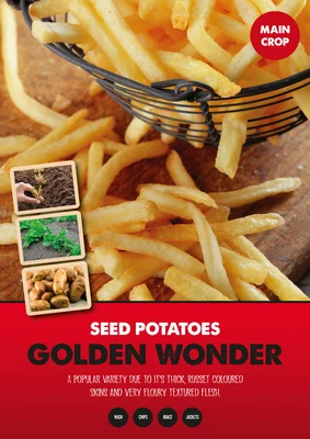 Golden Wonder 2kg