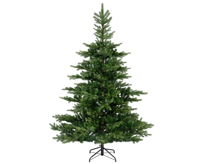 Grandis Fir 10ft