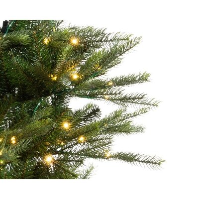 Grandis Fir Gb Micro Led Indoor  H210.00Cm-550L - image 2