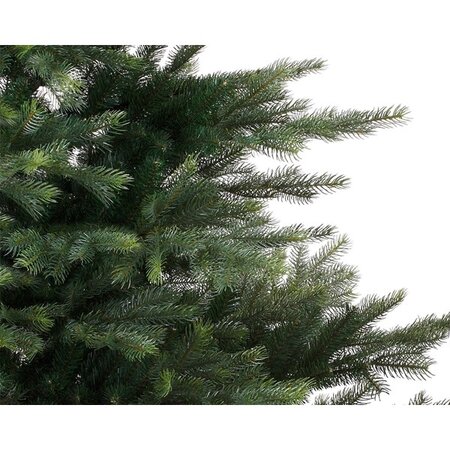 Grandis Fir H210.00Cm - image 2