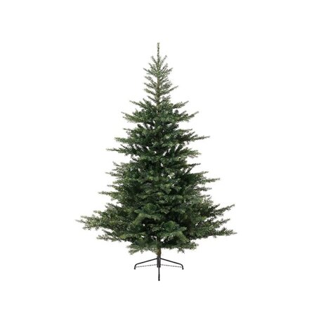 Grandis Fir H210.00Cm - image 1